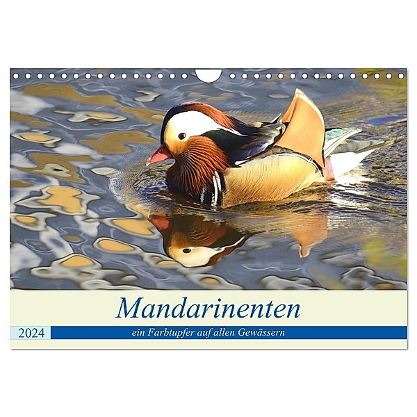 Mandarinenten, ein Farbtupfer auf allen Gewässern. (Wandkalender 2024 DIN A4 quer), CALVENDO Monatskalender, Rufotos