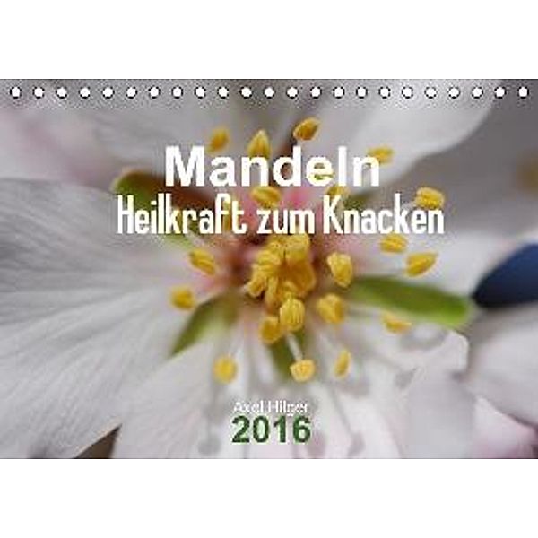 Mandel - Heilkraft zum Knacken (Tischkalender 2016 DIN A5 quer), Axel Hilger