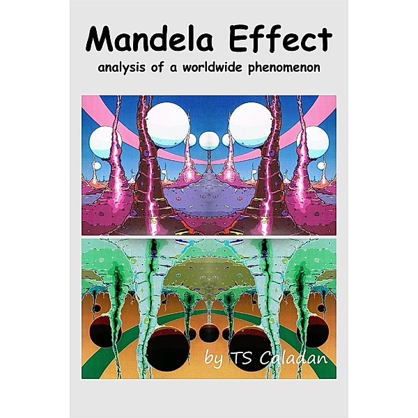 Mandela Effect - Analysis of a Worldwide Phenomenom, Ts Caladan