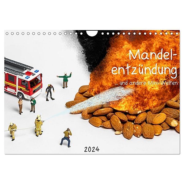 Mandelentzündung ... und andere Mini-Welten (Wandkalender 2024 DIN A4 quer), CALVENDO Monatskalender, Michael Bogumil