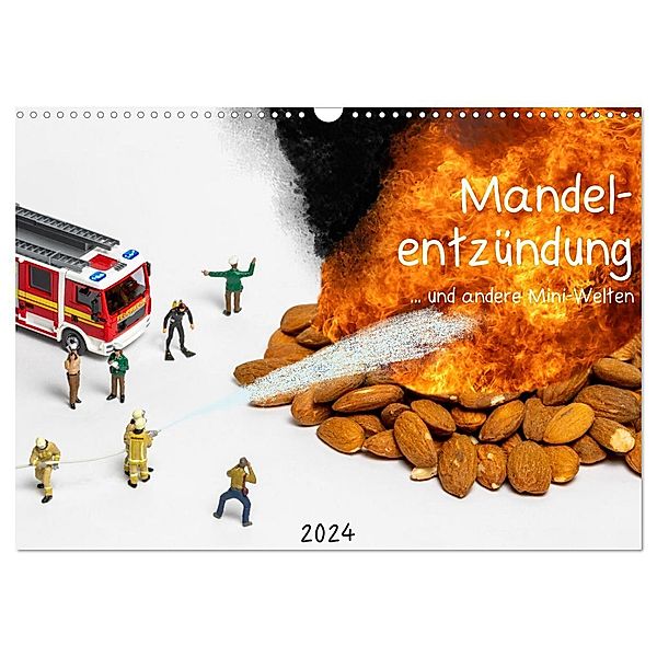 Mandelentzündung ... und andere Mini-Welten (Wandkalender 2024 DIN A3 quer), CALVENDO Monatskalender, Michael Bogumil