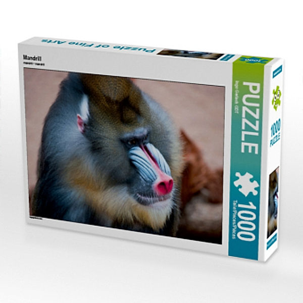 Mandrill (Puzzle), Ingo Gerlach