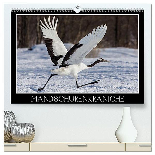 Mandschurenkraniche (hochwertiger Premium Wandkalender 2024 DIN A2 quer), Kunstdruck in Hochglanz, Thomas Schwarz Fotografie