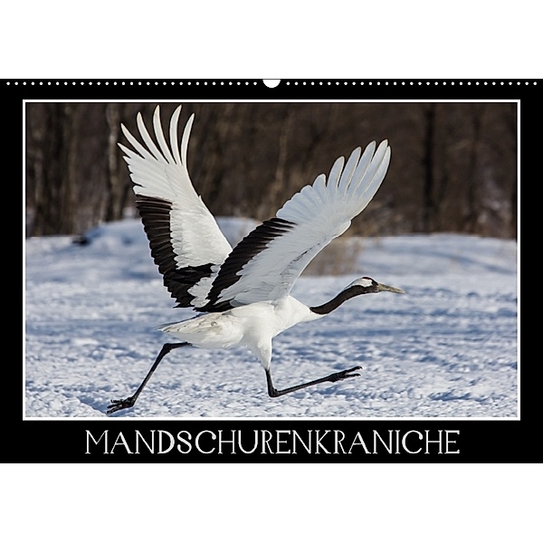 Mandschurenkraniche (Wandkalender 2018 DIN A2 quer), Thomas Schwarz, Thomas                        10000219418 Schwarz