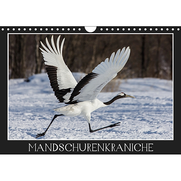 Mandschurenkraniche (Wandkalender 2019 DIN A4 quer), Thomas                        10000219418 Schwarz