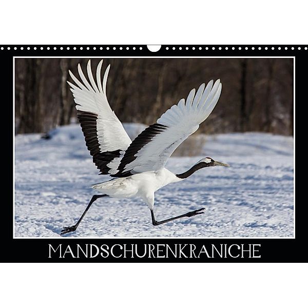 Mandschurenkraniche (Wandkalender 2020 DIN A3 quer), Thomas Schwarz