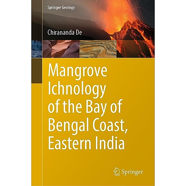 Mangrove Ichnology of the Bay of Bengal Coast, Eastern India / Springer Geology, Chirananda De