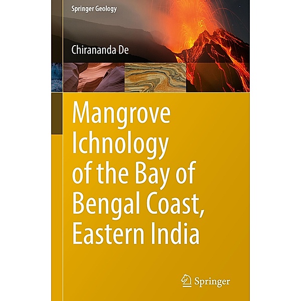 Mangrove Ichnology of the Bay of Bengal Coast, Eastern India, Chirananda De