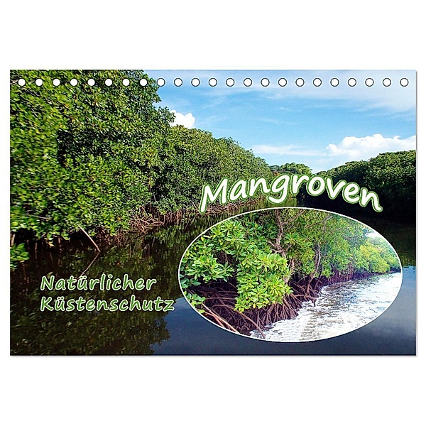 Mangroven - Natürlicher Küstenschutz (Tischkalender 2024 DIN A5 quer), CALVENDO Monatskalender, Ute Niemann