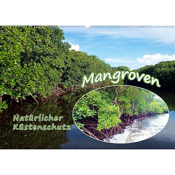 Mangroven - Natürlicher Küstenschutz (Wandkalender 2023 DIN A2 quer), Ute Niemann