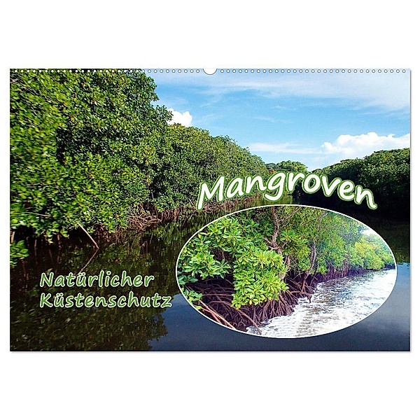 Mangroven - Natürlicher Küstenschutz (Wandkalender 2024 DIN A2 quer), CALVENDO Monatskalender, Ute Niemann
