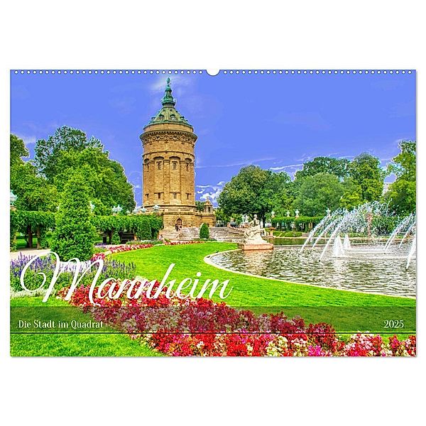 Mannheim - Die Stadt im Quadrat (Wandkalender 2025 DIN A2 quer), CALVENDO Monatskalender, Calvendo, Thomas Bartruff