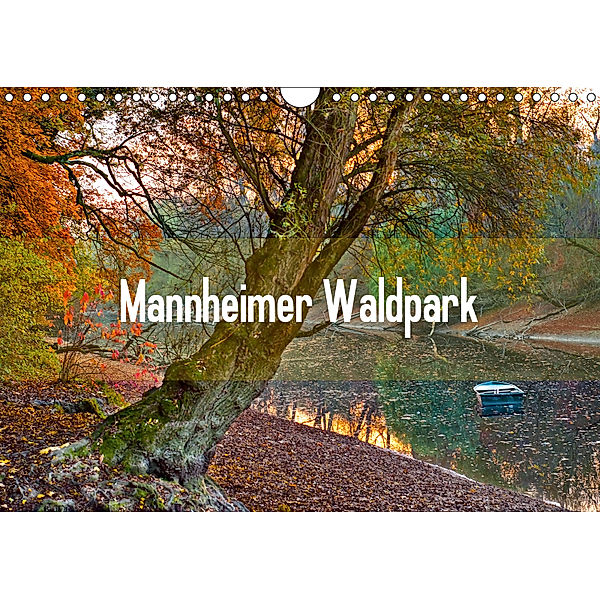 Mannheimer Waldpark (Wandkalender 2019 DIN A4 quer), Alessandro Tortora