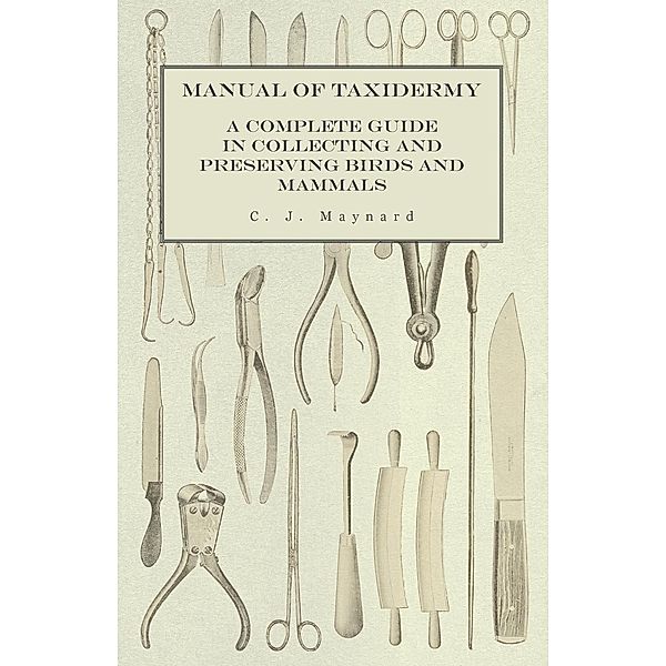 Manual of Taxidermy - A Complete Guide in Collecting and Preserving Birds and Mammals, C. J. Maynard