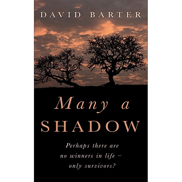 Many A Shadow, David Barter
