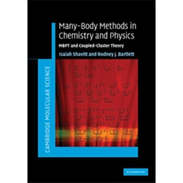 Many-Body Methods in Chemistry and Physics, Isaiah Shavitt