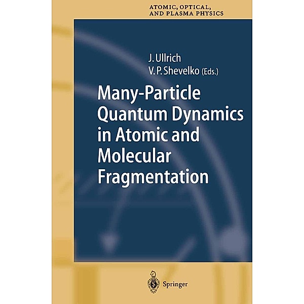Many-Particle Quantum Dynamics in Atomic and Molecular Fragmentation / Springer Series on Atomic, Optical, and Plasma Physics Bd.35