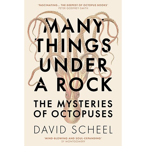 Many Things Under a Rock, David Scheel