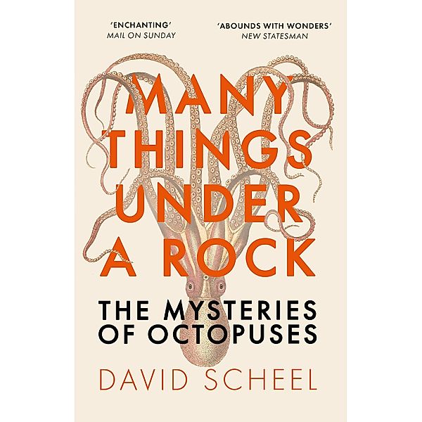 Many Things Under a Rock, David Scheel