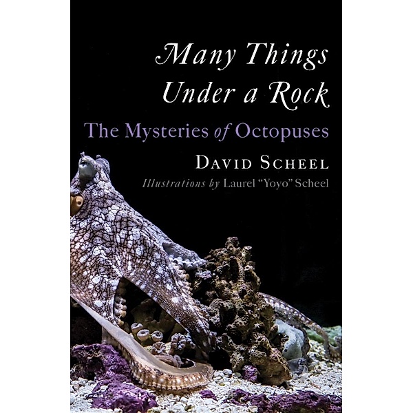 Many Things Under a Rock: The Mysteries of Octopuses, David Scheel