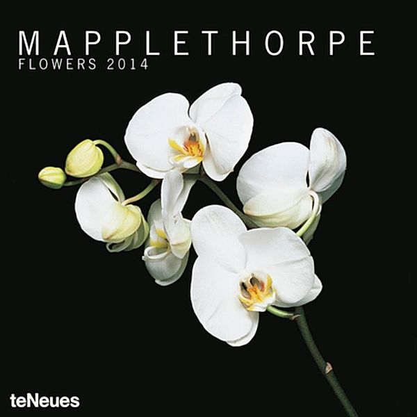 Mapplethorpe, Broschürenkalender 2014, Robert Mapplethorpe