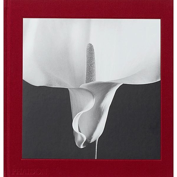 Mapplethorpe Flora, Mark Holborn