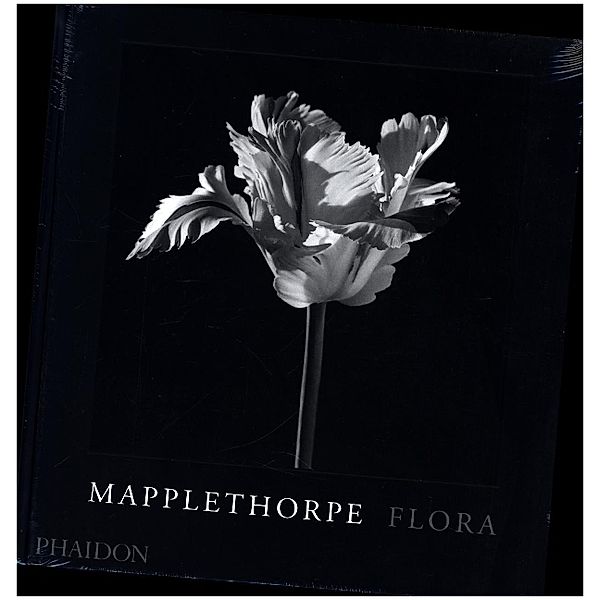 Mapplethorpe Flora, Robert Mapplethorpe, Mark Holborn