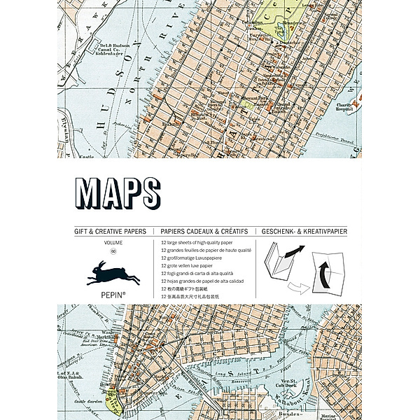 Maps.Vol. 60, Pepin van Roojen