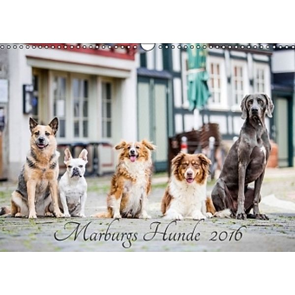 Marburgs Hunde 2016 (Wandkalender 2016 DIN A3 quer), Christine Hemlep - HemlepFotografie.de