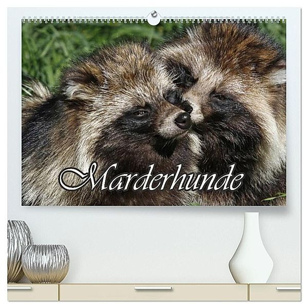 Marderhunde (hochwertiger Premium Wandkalender 2025 DIN A2 quer), Kunstdruck in Hochglanz, Calvendo, Antje Lindert-Rottke