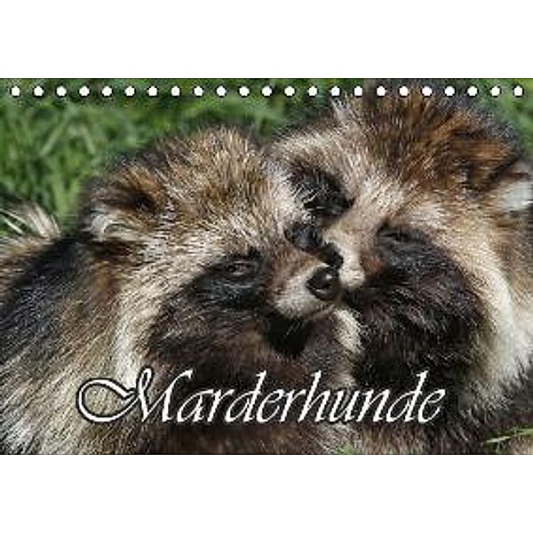 Marderhunde (Tischkalender 2015 DIN A5 quer), Antje Lindert-Rottke