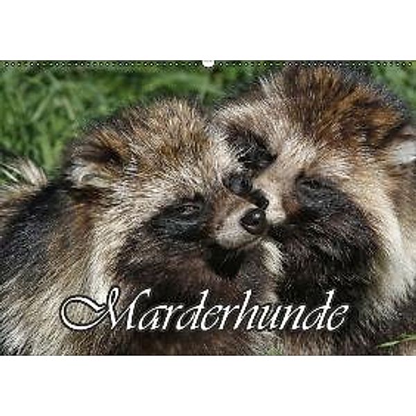 Marderhunde (Wandkalender 2015 DIN A2 quer), Antje Lindert-Rottke