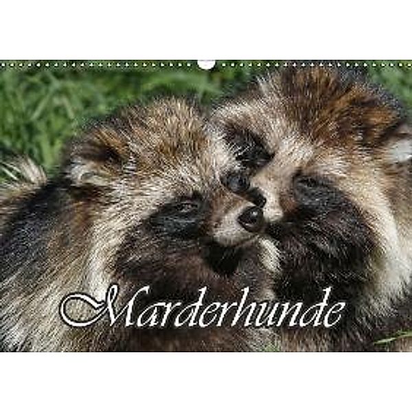 Marderhunde (Wandkalender 2015 DIN A3 quer), Antje Lindert-Rottke