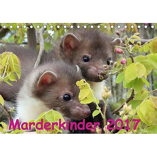 Marderkinder (Tischkalender 2017 DIN A5 quer), Nixe, k.A. Nixe