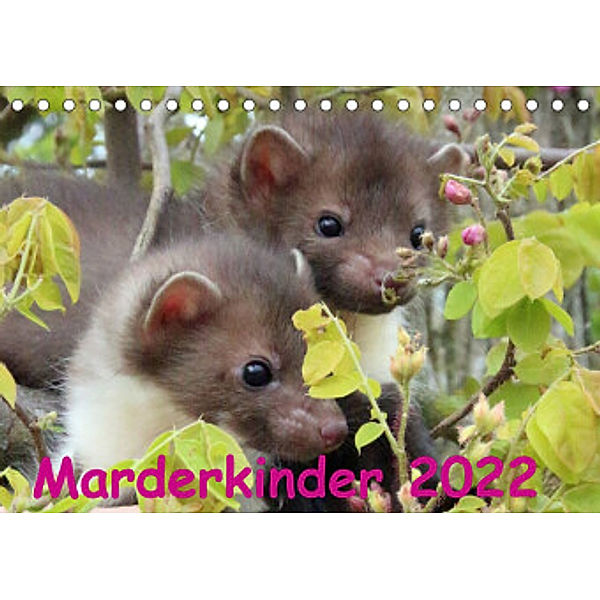 Marderkinder (Tischkalender 2022 DIN A5 quer), Nixe