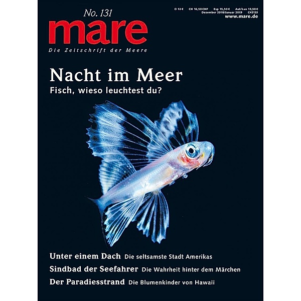 mare, Die Zeitschrift der Meere: .131 mare - Die Zeitschrift der Meere / No. 131/ Nacht im Meer