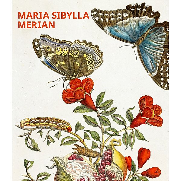 Maria Sibylla Merian, 12 Kunstposter, Daniel Kiecol