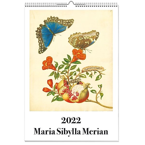 Maria Sibylla Merian Kalender 2022, Maria Sibylla Merian
