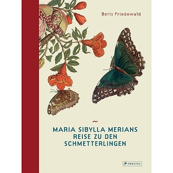 Maria Sibylla Merians Reise zu den Schmetterlingen, Boris Friedewald