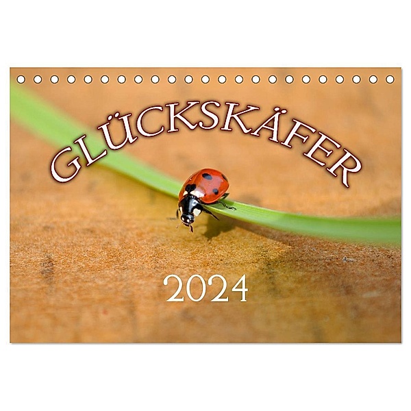 Marienkäfer 2024 (Tischkalender 2024 DIN A5 quer), CALVENDO Monatskalender, Bildagentur Geduldig