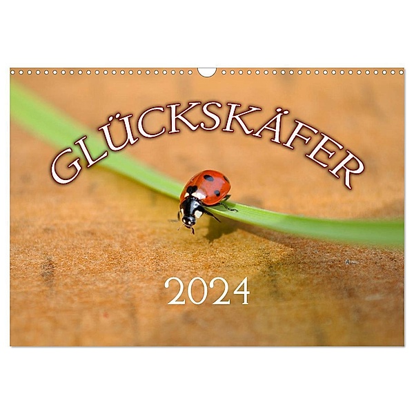 Marienkäfer 2024 (Wandkalender 2024 DIN A3 quer), CALVENDO Monatskalender, Bildagentur Geduldig