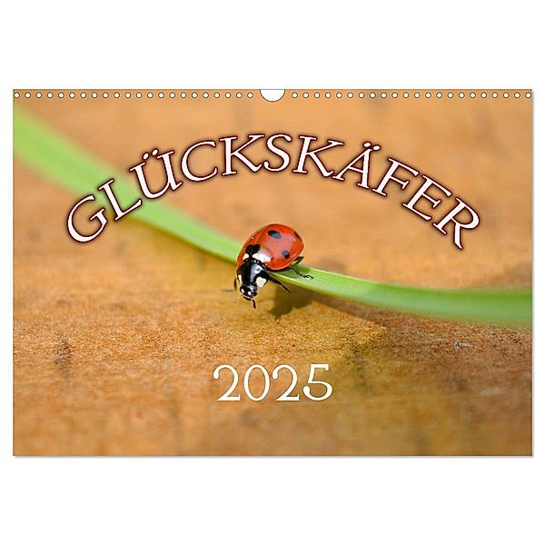 Marienkäfer 2025 (Wandkalender 2025 DIN A3 quer), CALVENDO Monatskalender, Calvendo, Bildagentur Geduldig
