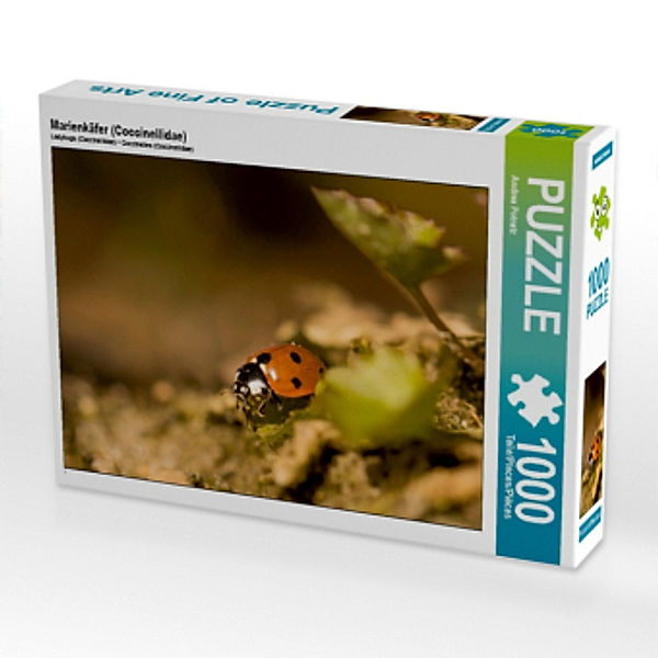 Marienkäfer (Coccinellidae) (Puzzle), Andrea Potratz