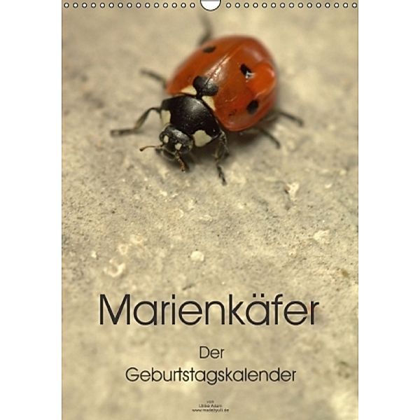 Marienkäfer - Der Geburtstagskalender (Wandkalender 2016 DIN A3 hoch), Ulrike Adam