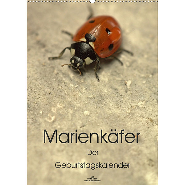 Marienkäfer - Der Geburtstagskalender (Wandkalender 2019 DIN A2 hoch), Ulrike Adam