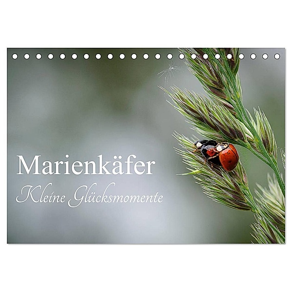 Marienkäfer - kleine Glücksmomente (Tischkalender 2024 DIN A5 quer), CALVENDO Monatskalender, Karin Dederichs