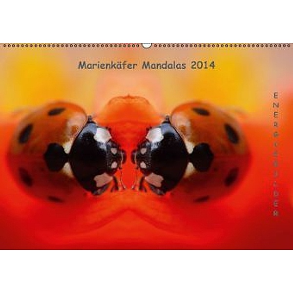 Marienkäfer Mandalas 2016 (Wandkalender 2016 DIN A2 quer), Martin Zänkert