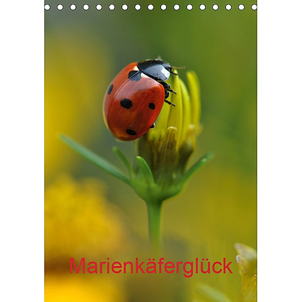 Marienkäferglück (Tischkalender 2019 DIN A5 hoch), Susanne Herppich