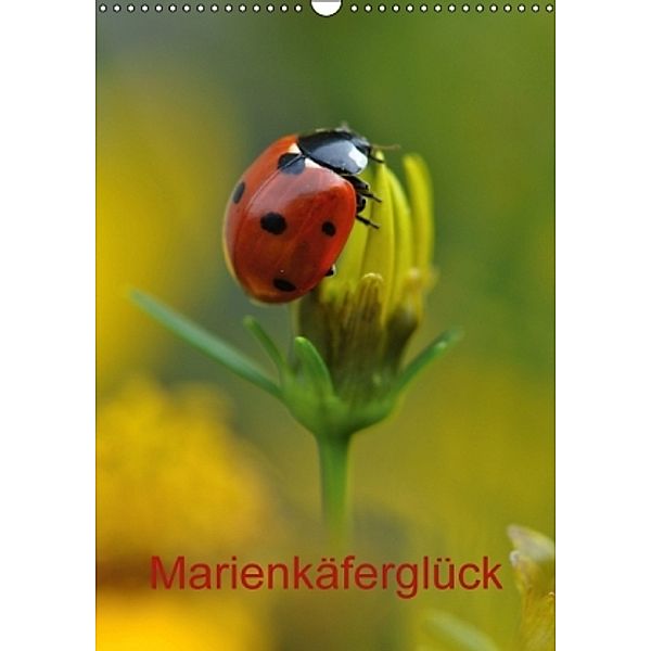 Marienkäferglück (Wandkalender 2016 DIN A3 hoch), Susanne Herppich