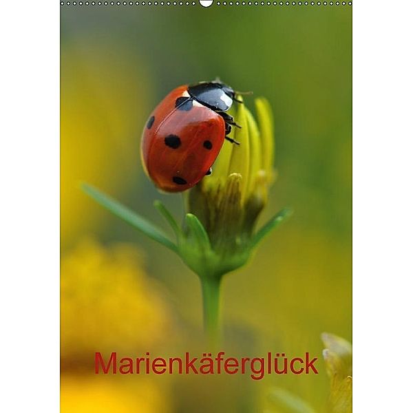 Marienkäferglück (Wandkalender 2017 DIN A2 hoch), Susanne Herppich